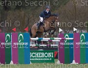 Lever Da Vinci's Pride TosTour 2013- S5 7286 : Arezzo Equestrian Centre, Da Vinci's Pride, Lever Philip, Toscana Tour 2013, foto di Stefano Secchi ©